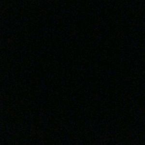 Meet your Posher, Gracie